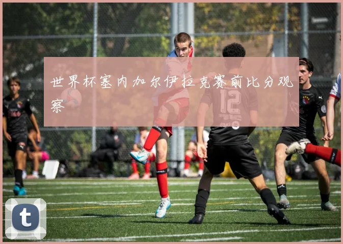 世界杯塞内加尔伊拉克赛前比分观察
